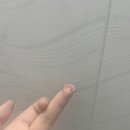 다본안경 위드렌즈 이미지