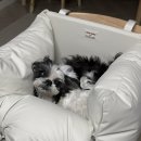 테리비어 이미지