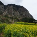 세훈농장 이미지