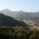 공작산명이나물