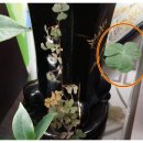 황금나무공인중개사사무소 이미지