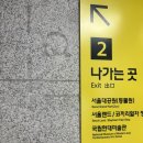 과천 가볼만한곳 추천 - 국립현대미술관, 서울대공원 테마정원 장미축제 후기