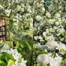 벌룬 매직 코믹 쇼 이미지