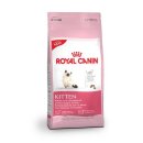 청담동물병원 이미지