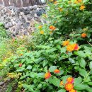 쏘그베 민박 이미지