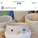 케렌시아포띠