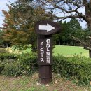 그린힐 컨트리클럽 이미지