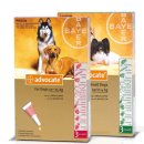 메리알동물병원 이미지