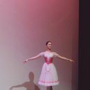 레브발레스튜디오학원 이미지