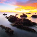 정명행정사 이미지