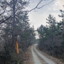 벽파항 | D552/걷기/ 서해랑길6,7코스 "항쟁의 역사의 현장 진도"