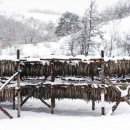 해남황태전문점 이미지