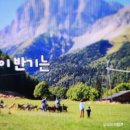 라벤더 민박 이미지