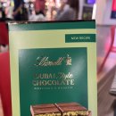 카페인시애틀 | 산토도밍고에서 시애틀로 여행(단풍이 너무 예뻤다...)