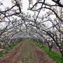 섬진강횟집 이미지