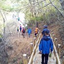 서산시친환경농업협동조합