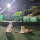 문수양궁장(하절기) 이미지