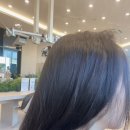 중앙7길 | 양주 옥정 미용실에서 두피가 살아났다, 트니리티헤어 옥정중앙역점 아윤채 두피헤어클리닉 솔직 후기