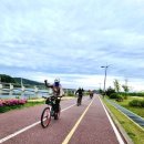 수룡봉황길 이미지