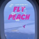 피치항공 후기 MM716(A320) 인천 → 오사카 간사이 (기내식 / 공항 터미널 / 수화물 규정 / 지연 / 결항)