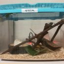 새싹2호농장 이미지