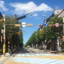 주정차단속-61 이미지