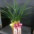 우림약품 이미지