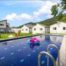 바비애견풀빌라 이미지