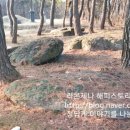 삼거동 고인돌군 이미지