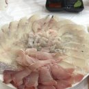 오대양회해물센터
