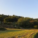 산59-1