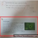 네모국어학원 | 뿌리깊은 초등국어 독해력 3단계 초등독해문제집 엄마표 공부법 공유