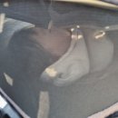 나무고아원A 이미지