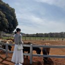 파란목장 | 제주 동물체험 목장카페 밭디 제주도 이색체험 서귀포 놀거리