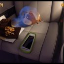 애니멀타임 이미지