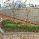 인천송천고등학교 이미지