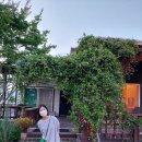 담양세솔둥지