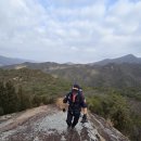 동산사슴목장 티스토리