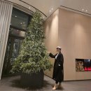 신라스테이  제주 | 엄마랑 제주 여행 숙소 추천｜신라스테이 플러스 이호테우 솔직 후기