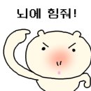 휴대폰랜드 네이버블로그