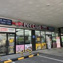 펫클럽강릉내곡점 이미지