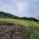 사곡리마을회관 이미지