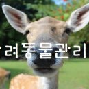 반려동물관리사 이미지