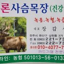 샤론목장 이미지