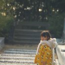 담양애꽃