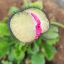숙미용실 - 경산시 하양로 119-11 | 숙미용실