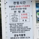 제주 [금능석물원] 소요시간, 산책후기