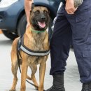 탑 동물병원 이미지