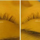 이미호아이래쉬 이미지