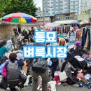 동묘시장 | 동묘 벼룩시장 후기!!